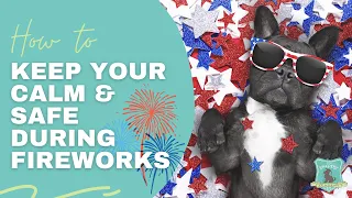 How to Keep Your Puppy Safe and Calm During Fireworks!