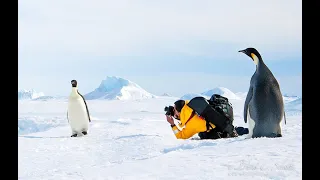 Внезапный отъезд. Антарктика