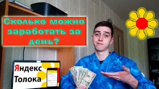 Сколько можно заработать за ДЕНЬ на Яндекс Толока? Заработок на Яндекс.Толока