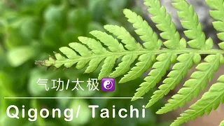 Qigong/Taichi Music 2022