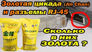 Золотая цикада и разъемы RJ45