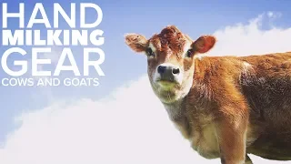 BEST HAND MILKING GEAR for a COW or GOAT (complete list)