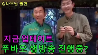 긴급 업데이트 ☆☆푸바오 생방중 강바오님 출현