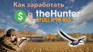 Как заработать в The hunter Call of the wild? Фарм на гусях.