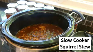 Slow Cooker Squirrel Stew