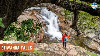 Hiking Etiwanda Falls Trail, Complete Guide| Rancho Cucamonga, CA