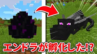 【マインクラフト】エンダードラゴンの卵を孵化させる方法が簡単すぎる！？【マイクラ実況】