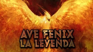 EL AVE FÉNIX, Phoenix renace de las cenizas y el fuego Mitología