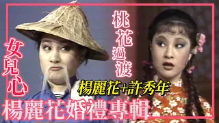 楊麗花 許秀年《桃花過渡》歌仔戲精華片段【女兒心-楊麗花婚禮專輯】精彩