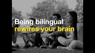 Being bilingual rewires your brain