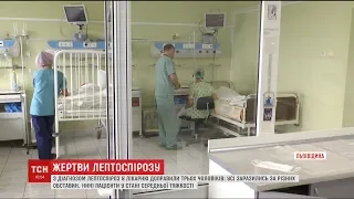 Інфекція шириться Львівщиною. Через лептоспіроз у лікарні вже троє чоловіків