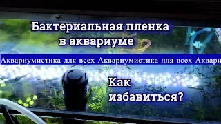 Лайфхак. Избавляемся от бактериальной пленки!