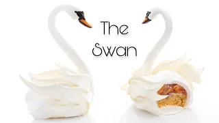 The Swan!