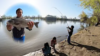 Striper Fishing : Too Many Nibbles | Sacramento River, Broderick Boat Ramp (4/7/2024)