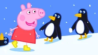 Peppa Pig English Episodes | Peppa Pig Winter Sports Special