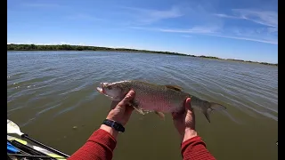 MATA WOBBLEREK -Az első kajakos pergetés a Tisza-tavon, Sarudi-medence.