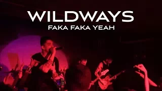 Wildways - Faka Faka Yeah. Волгоград 21.04.2017