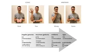 CARTA: Language Structure and the History/Future of Lingustics with Robert Kluender