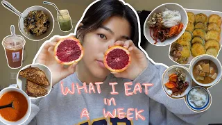 What I Eat in A Week (college edition) || quick & realistic || my go-to meals