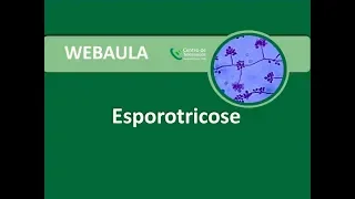 Webaula - Esporotricose