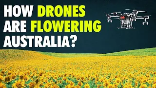 How Drones are planting flowers in Australia?