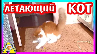 СБЫЛАСЬ МЕЧТА Alisa Esay / РАСПАКОВКА посылок ОТ ПОДПИСЧИКОВ / ЛУЧШИЙ ПОДАРОК / Alisa Easy Pets