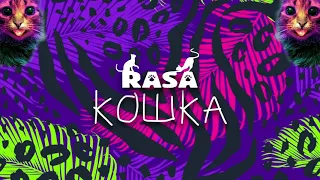 RASA - Кошка (ПРЕМЬЕРА ТРЕКА, 2019)