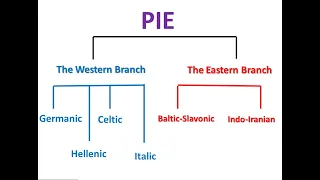 How to Understand the Branches of Proto-Indo-European !!