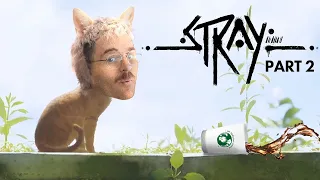 one of the best games i’ve ever played | Stray pt. 2