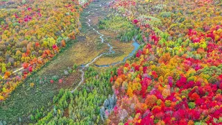 2019 Northern Michigan Fall Color Tour 1 - Drone