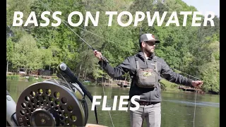 FLY FISHING FOR BASS with TOP WATER FLIES