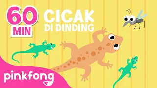 Cicak cicak di dinding | Lagu Anak Indonesia | Pinkfong Baby Shark