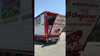 livestock trailer animal carrier çift katlı canlı hayvan taşıma dorse güneysan treyler