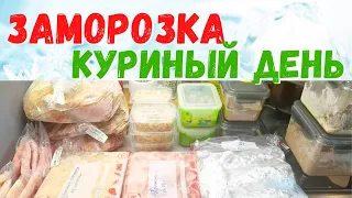 4 курицы, печень, сердечки, индейка. Домашние полуфабрикаты из курицы #заготовки в морозилку.