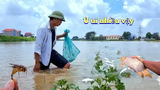 Ngày Đầu Xây Dựng Avi Cho Mèo Bengal Và Mua Lưới Khổng Lồ Theo Cậu Đánh Cá Khi Lũ Về / Quế Nghịch