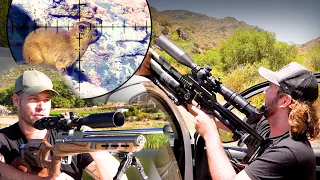 Insane High-Power Hyrax Hunt on a Wine Farm!