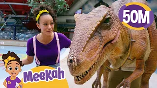 Meekah Meets a GIANT Dinosaur! | Educational Videos for Kids | Blippi and Meekah Kids TV