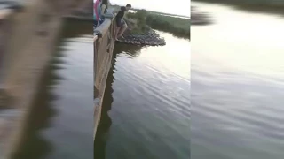 Самый смешной прыжок в воду