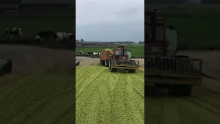 Fiat F140 & Fiat 160-90 pulling up silo