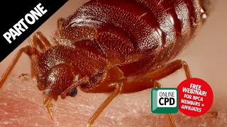 WEBINAR: Bed bug control for pest professionals