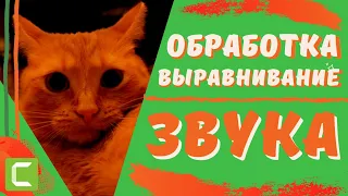 ИДЕАЛЬНО РОВНЫЙ ЗВУК | Как выровнять звук в Камтазии | Обработка аудио в Вегас Про