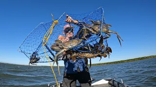 GIANT MUD CRABS | Wild Encounters | Fishing Adventure!