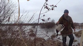 Открытие весенней охоты на Селезня с подсадной НА СЕВЕРНОМ УРАЛЕ.