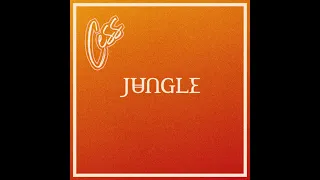 Jungle - Candle Flame (Cess Remix)
