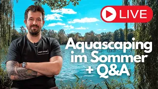 Aquarien im Sommer & Q&A Livestream!