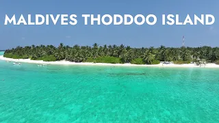 Мальдивы 2024 остров Тодду / Maldives 2024 Thoddoo Island / Подводный рай с акулами на Мальдивах