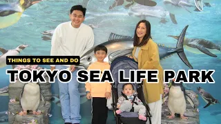 TOKYO SEA LIFE PARK WHAT TO SEE AND DO FOR KIDS