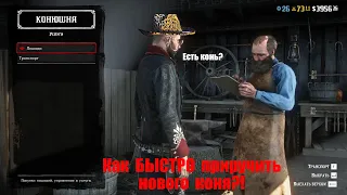 Самый БЫСТРЫЙ способ приручить лошадь в RDO (Red Dead Redemption Online)