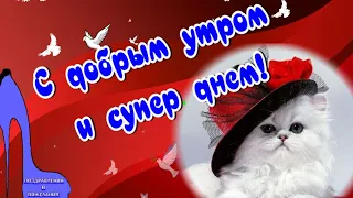 Привет! С добрым утром тебя ! Желаю супер классного и прикольного дня !