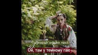 ROZAVIN - Ой, там у темному гаю (Українська народна пісня) [Official HD]
